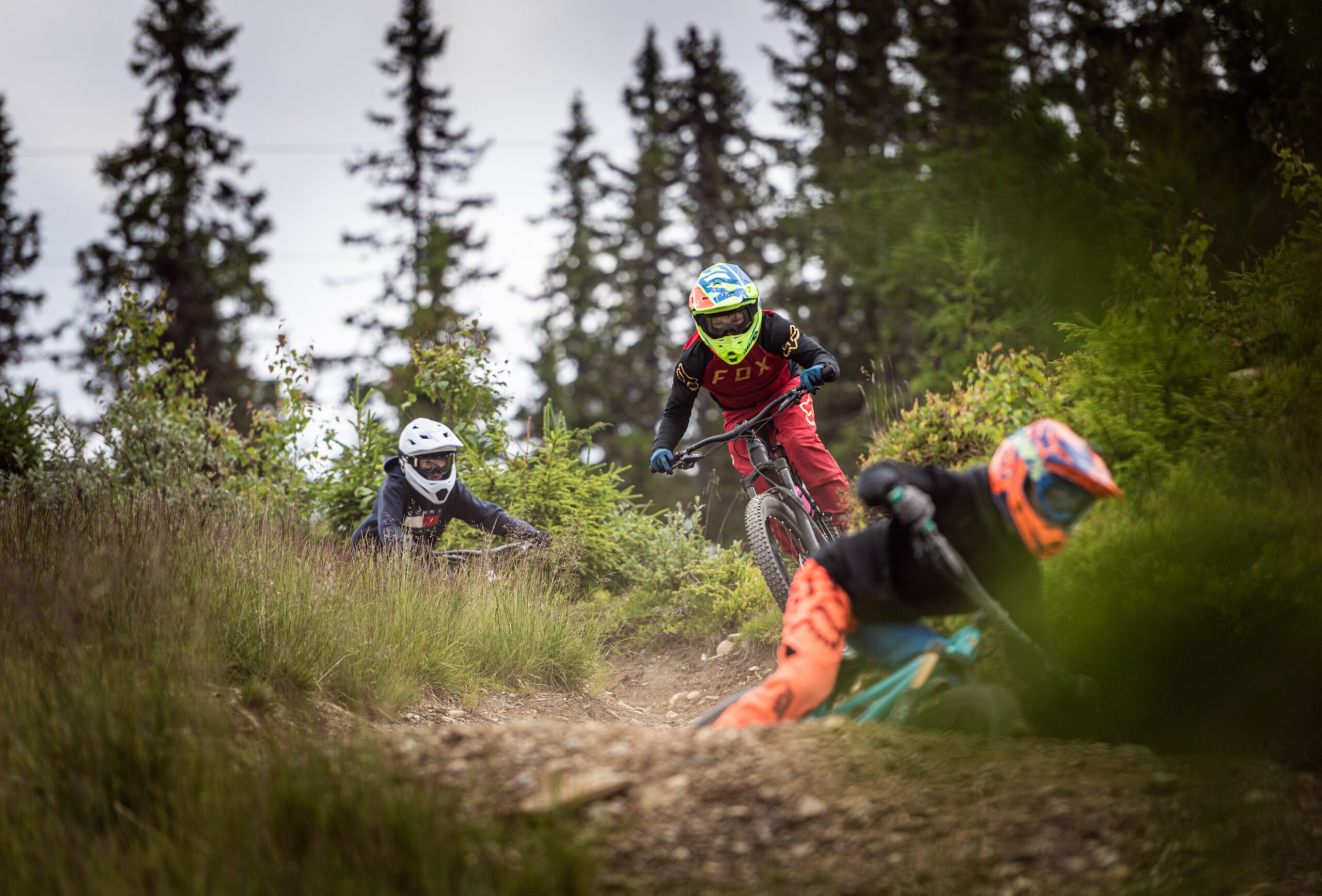 Hafjell Bike Park | Lillehammer | Birkebeineren Hotel Hafjell Bike Park | Lillehammer | Birkebeineren Hotel